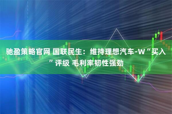 驰盈策略官网 国联民生：维持理想汽车-W“买入”评级 毛利率韧性强劲